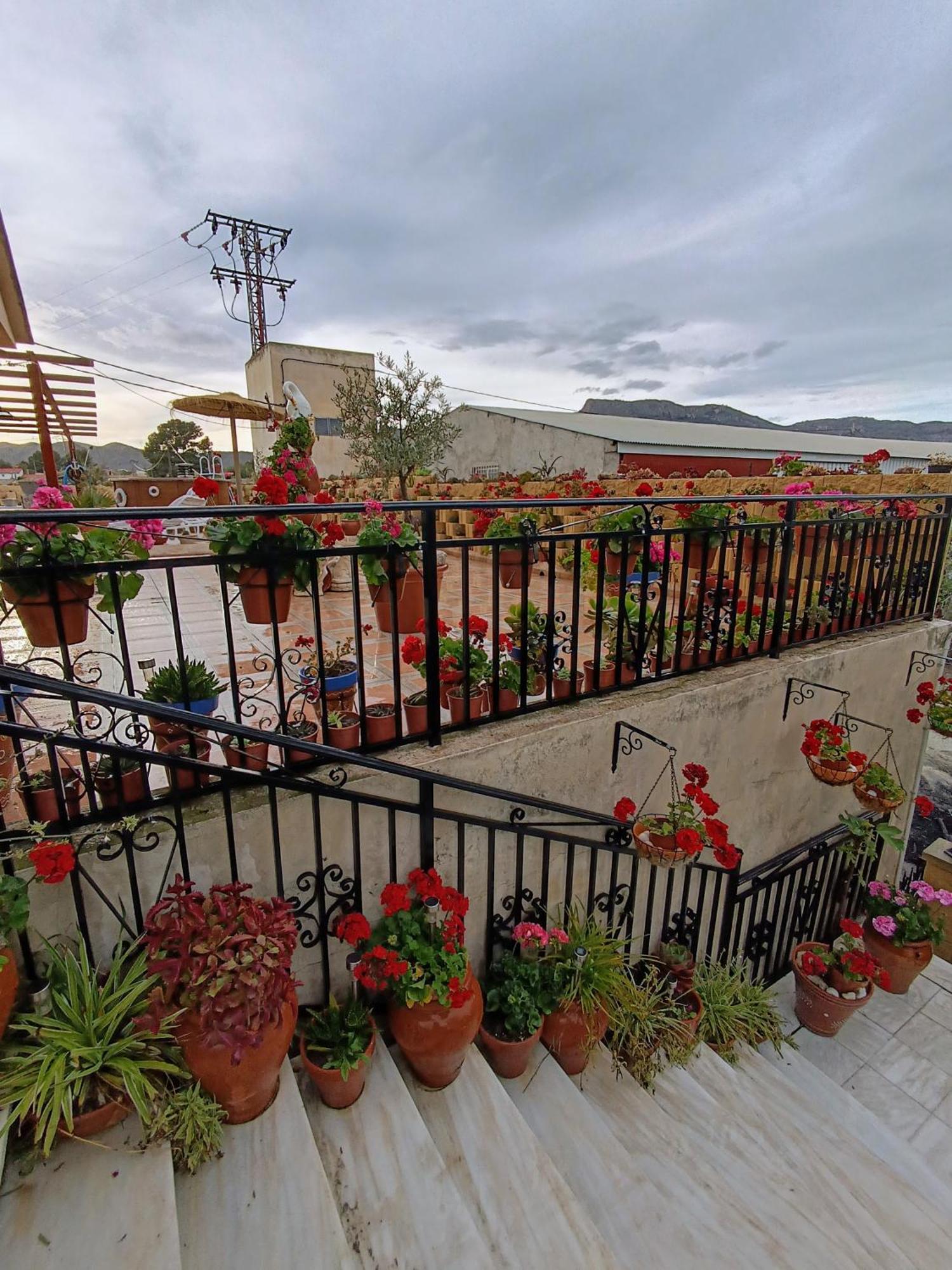 Casa Chalet Venta Ruizo Lorca  Bagian luar foto