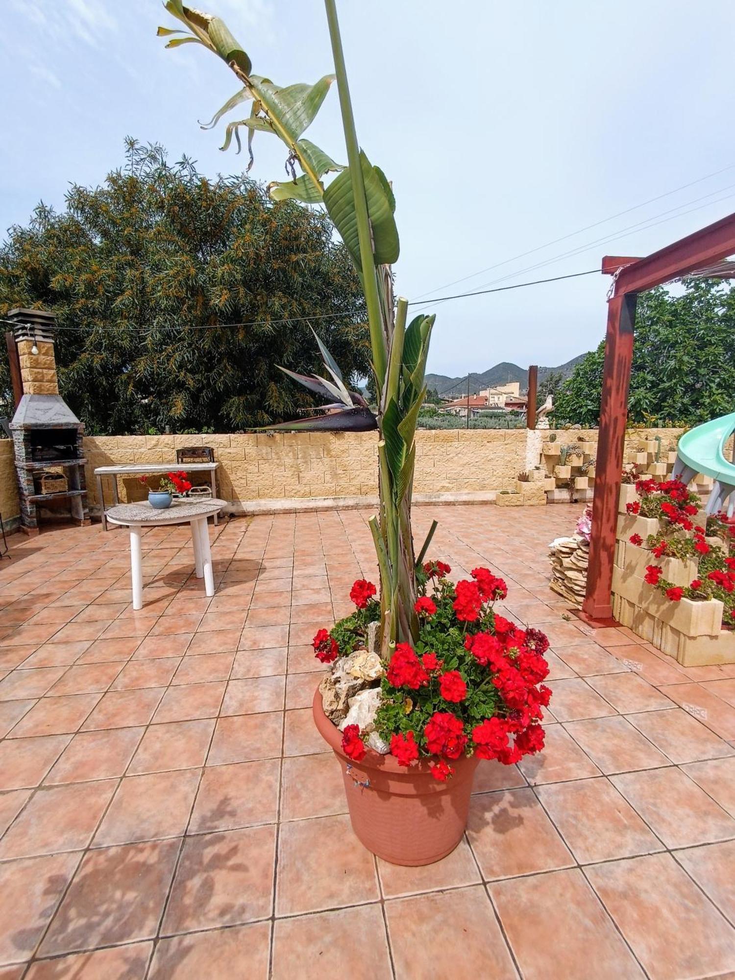Casa Chalet Venta Ruizo Lorca  Bagian luar foto