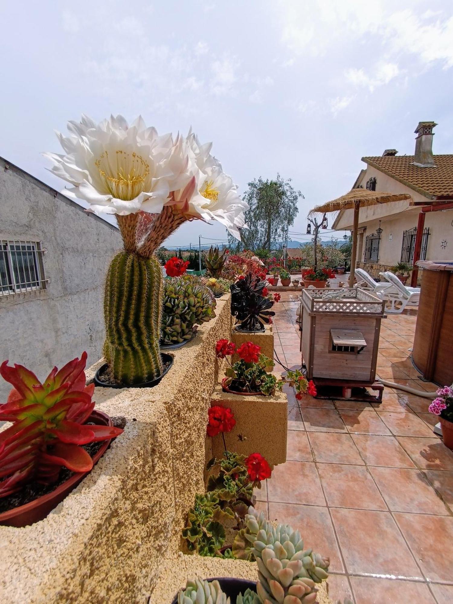 Casa Chalet Venta Ruizo Lorca  Bagian luar foto